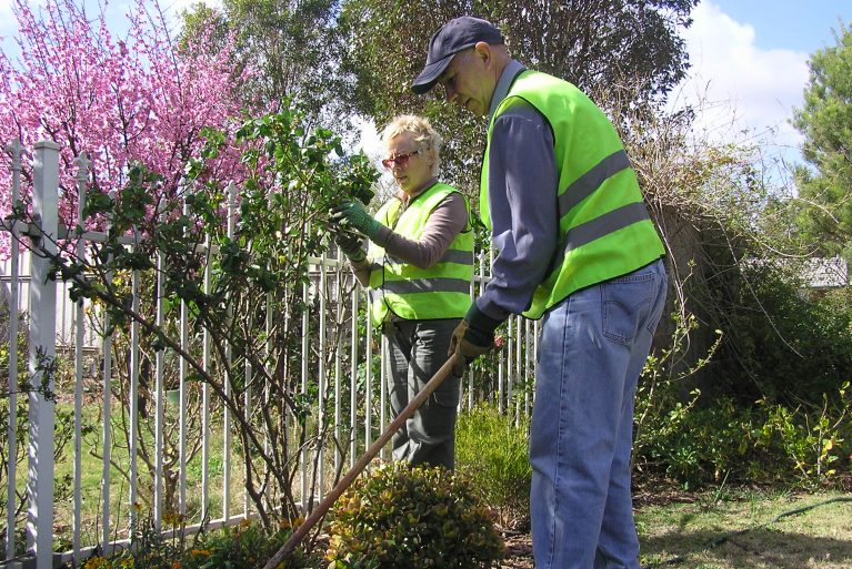 Two gardeners work outside trimming a flowering bush and weeding a garden bed, gardener