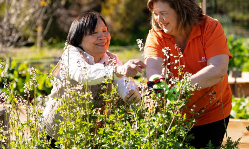 home care services gardening helping hand
